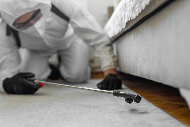 Professional Bed Bug Control technician working in Marion, OH